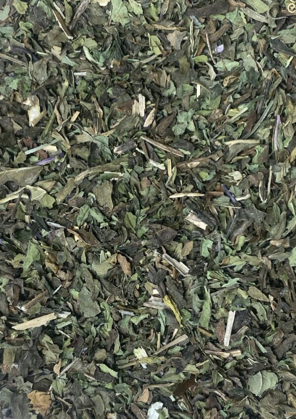 Menthe verte bio