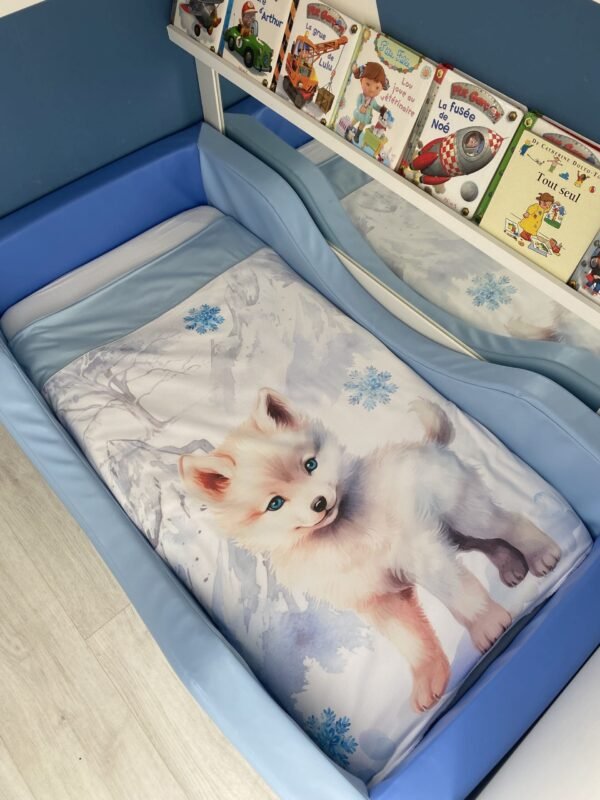 Image du produit
