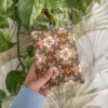 pochette transport cotons lavables